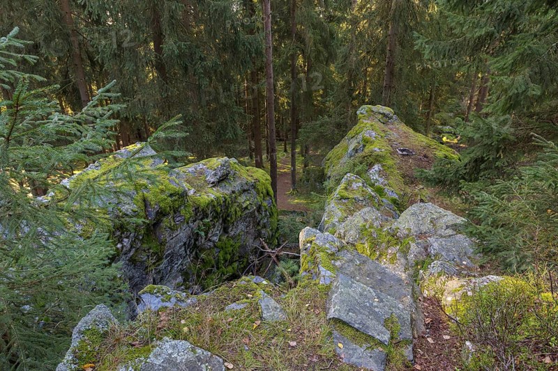 Schwarzer Stein rock formation with Versteinerter Mönch rock formation east of Grünbach in Vogtland, Saxony, Germany