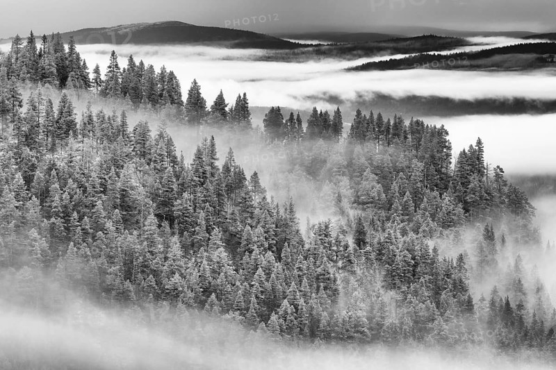 Foggy weather in the mountains, Alvdal Vestfjell, Hedmark, Innlandet, Norway, November 2025