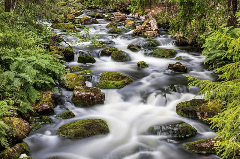 Njupån wild stream in Fulufjället National Park, Dalarnas län, Sweden