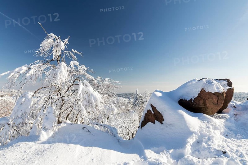 View from Kleiner Lugstein of the sunny winter landscape with snow-covered trees, bushes, trails and branches covered with hoarfrost on the Erzgebirgskamm, Zinnwald-Georgenfeld, Altenberg, Eastern Ore Mountains, Saxony, Germany