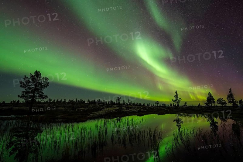 Northern Lights (Aurora borealis) reflected in a mountain lake, Norrbotten, Lapland, Sweden, September 2024