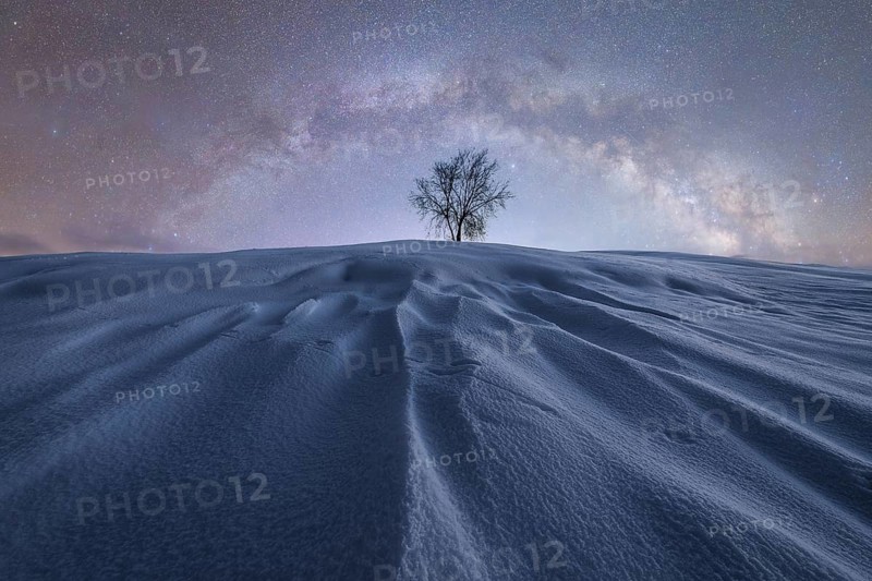 A solitary tree stands on a snow-covered hill in Iceland, beneath a mesmerizing, star-filled sky The Milky Way arcs overhead, casting a serene and magical atmosphere
