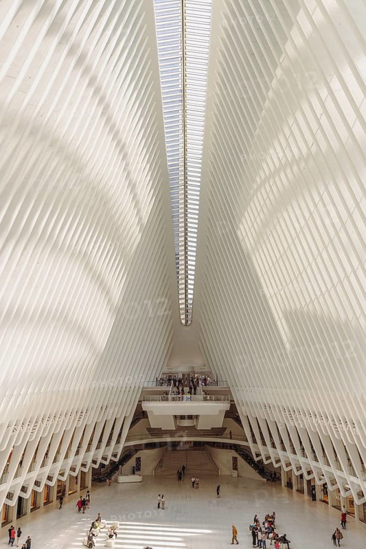Oculus building, World Trade Center Transportation Hub, New York, USA