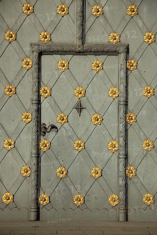 Door with golden floral fittings and rosettes, decorations, inside, detail, Electoral Palace, Mainz, Rhineland-Palatinate, Germany