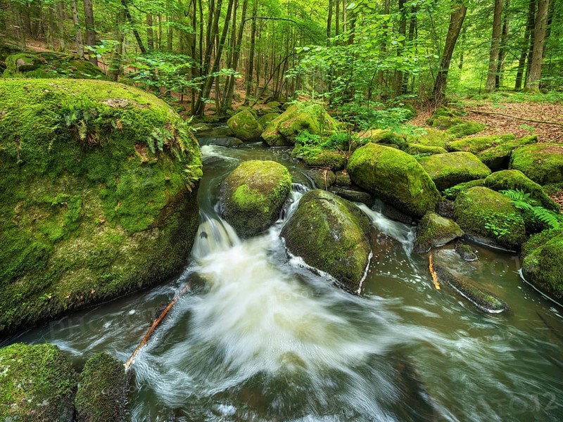 The Höllbach in the Hölle Nature Reserve flows through green forest and large moss-covered rocks, near Rettenbach, Upper Palatinate, Bavaria, Germany