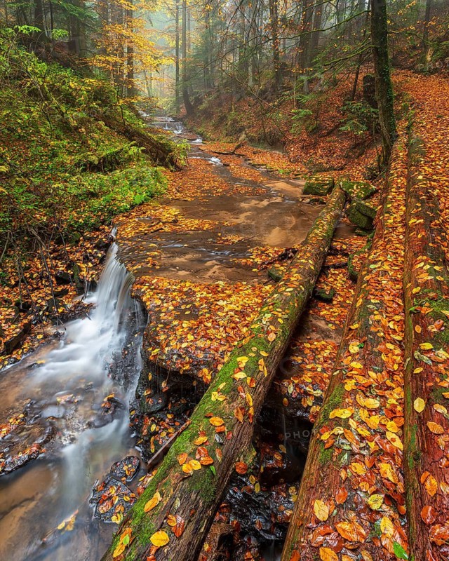 Waterfall in the course of the Strümpfelbach stream, colorful autumn leaves in the water, Strümpfelbachtal, near Backnang, Swabian-Franconian Forest nature park Park, Baden-Württemberg, Germany