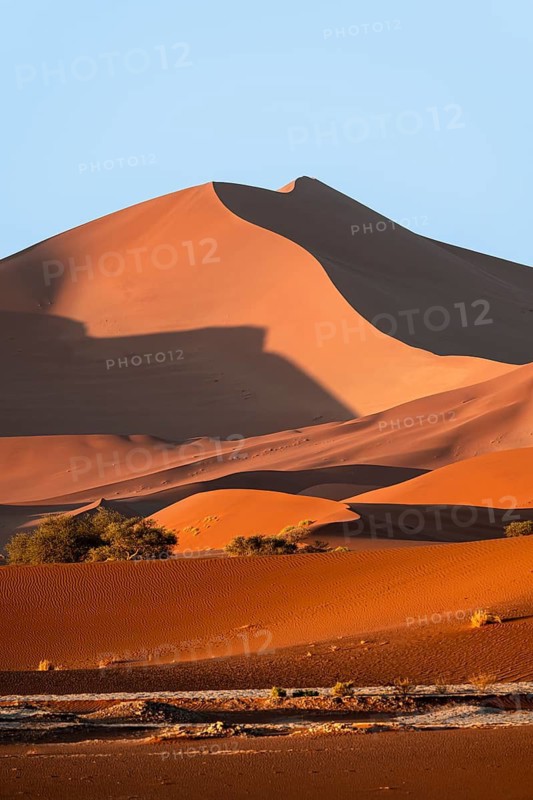 Red sand dunes, Sossusvlei region, Namib Desert, Namib-Naukluft National Park, Namibia