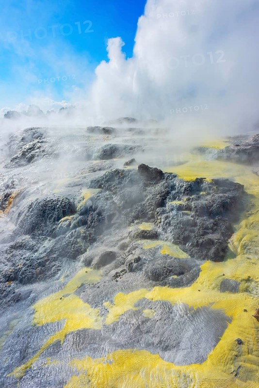 Prince of Wales and Pohutu geysers erupting, Te Puia Thermal Valley, Rotorua, Bay of Plenty, North Island, New Zealand