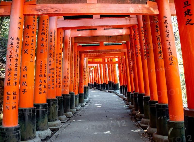 Walk through hundreds of red traditional torii gates, Fushimi Inari Taisha, Shinto Shrine, Fushimi Inari-taisha Okusha Hohaisho, Kyoto, Japan