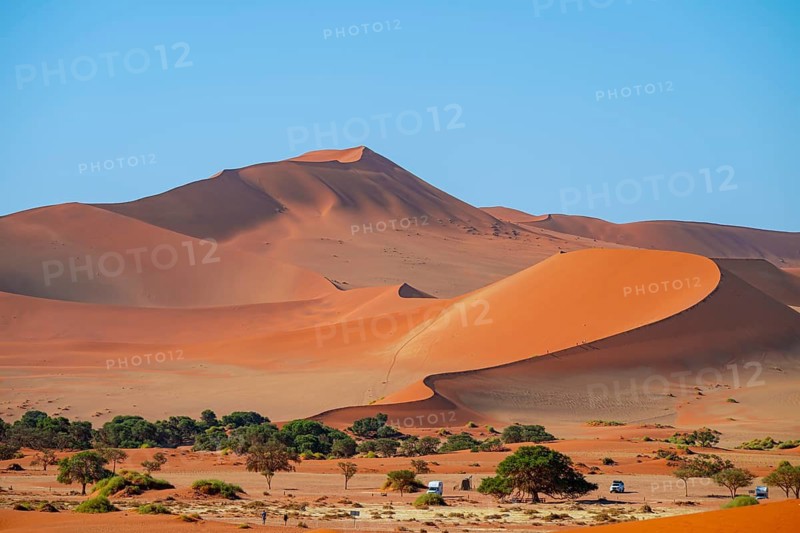 Red sand dunes, Sossusvlei region, Namib Desert, Namib-Naukluft National Park, Namibia