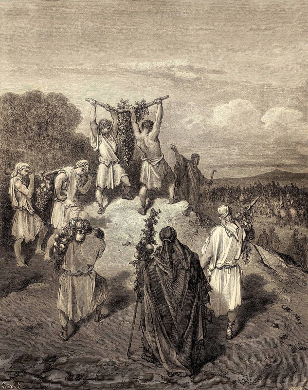 Return of the Spies from the Land of Promise, Old Testament, by Gustave Doré, 1863
