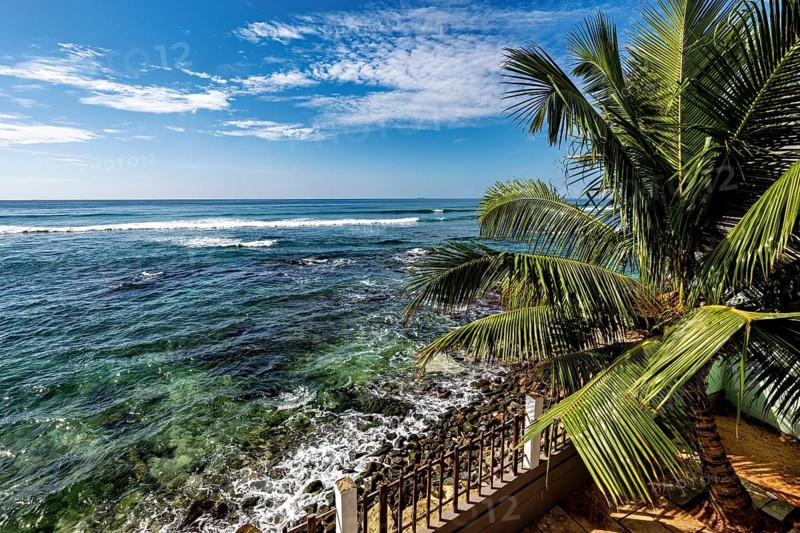 Tropical coastline with palm trees, calm sea and sunny blue sky, palm trees on the coast of the Indian Ocean near Galle in Sri Lanka