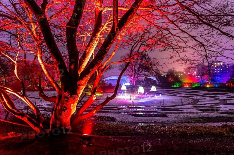 Park lights, events in winter, in the Grugapark in Essen, many different light installations, across the park, attract many thousands of visitors, North Rhine-Westphalia, Germany