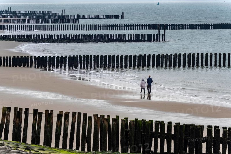 Coastal protection, through wooden posts, paalhoofden, on the beach, breakwater, the piles, some of which are rammed into the sandy soil in double rows, slow down the waves and ocean currents and thus slow down the flow rate of seawater, so less sand is washed away from the stand, near Westkapelle, Walcheren peninsula in the Dutch province of Zeeland