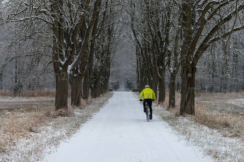 Mountain biker on snowy alley, Mönchbruch, Rüsselsheim am Main, Hesse, Germany