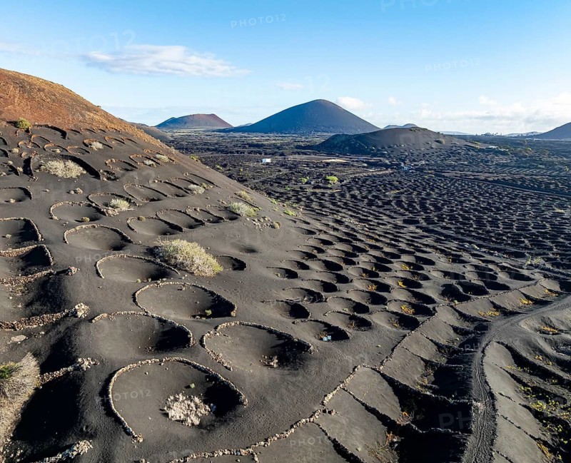 Typical drywall viticulture in volcanic landscape, on volcanic ash, lapilli, aerial view, vines, La Geria wine-growing region, Lanzarote, Canary Islands, Spain