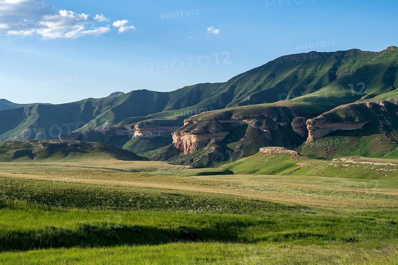 Grassland with sandstone cliffs and cliffs, landscape in Golden Gate Highlands National Park, Free State, South Africa