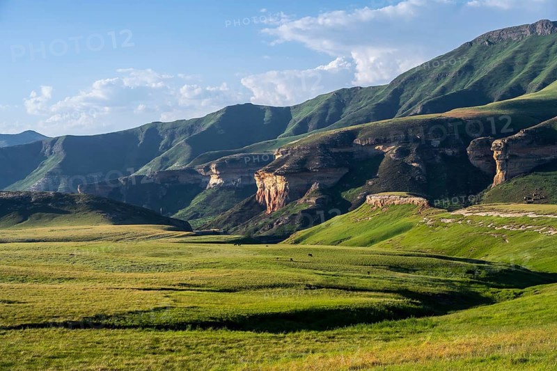 Grassland with sandstone cliffs and cliffs, landscape in Golden Gate Highlands National Park, Free State, South Africa