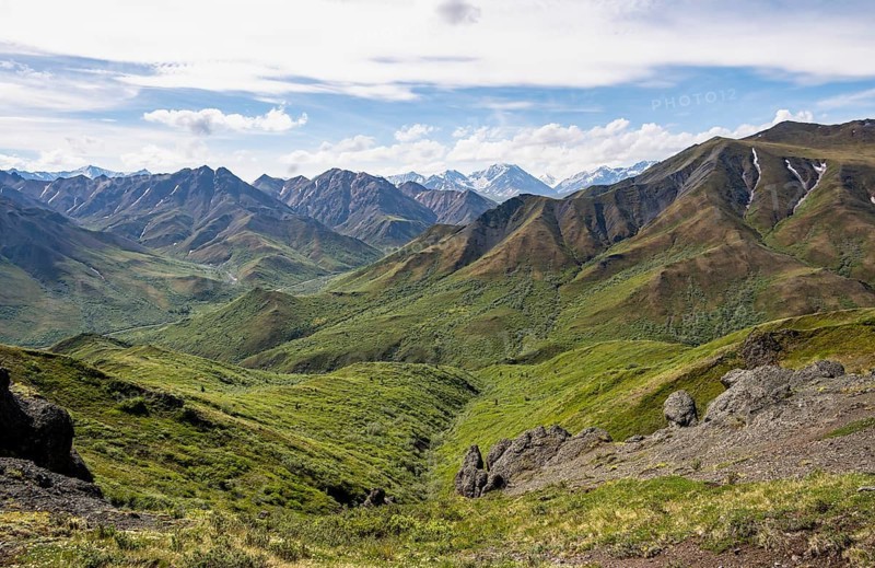 Tundra and mountainous landscape of the Alaska Range, Sable Pass, Denali National Park and Preserve, Alaska, USA