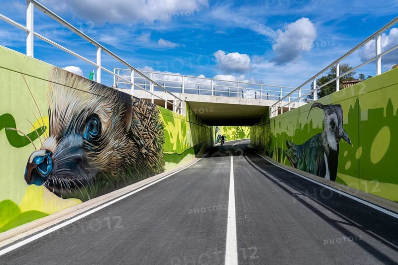 New bicycle tunnel at the junction of the B51 and Warendorfer Straße, in Münster, a bicycle and pedestrian tunnel, 150 metres long, 5.50 metres wide, crosses under the busy roads so that cyclists and pedestrians can pass without crossing, route to and from Münster city centre, visually designed with local motifs as murals, by Lackaffen.de, modern bicycle infrastructure, North Rhine-Westphalia, Germany