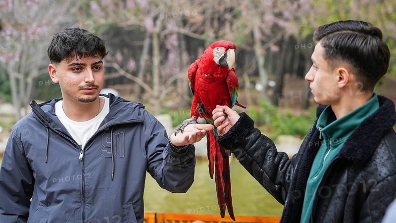 GAZIANTEP, TURKEY - APRIL 18, 2026: Visitors enjoy an early spring stroll at Gaziantep Wildlife Park. Ranked as the largest zoo in Turkey, the second largest in Europe, and fourth globally, the park is a major attraction home to 380 diverse animal species, Gaziantep, Turkey