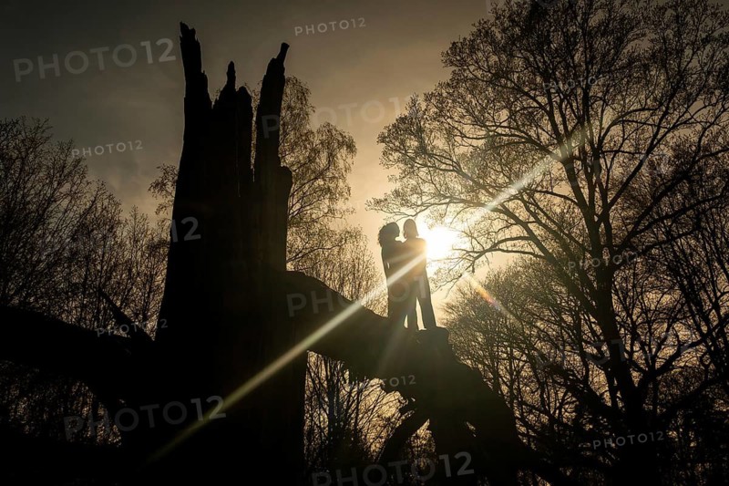 Silhouette of young couple standing on a solitary oak tree split and broken apart by lightning, Hohenlohe, Baden-Württemberg, Germany