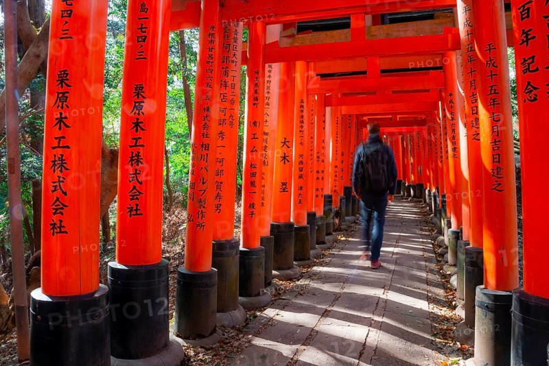 Visitors on a journey through hundreds of red traditional torii gates, Fushimi Inari-taisha, Shinto shrine, long exposure, motion blur, Fushimi Inari-taisha Okusha Hohaisho, Kyoto, Japan