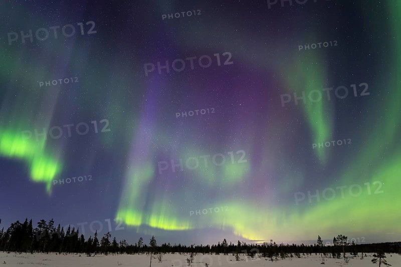 Northern Lights (Aurora borealis), Muddus National Park, Laponia World Heritage Site, Norrbotten, Lapland, Sweden, April 2025