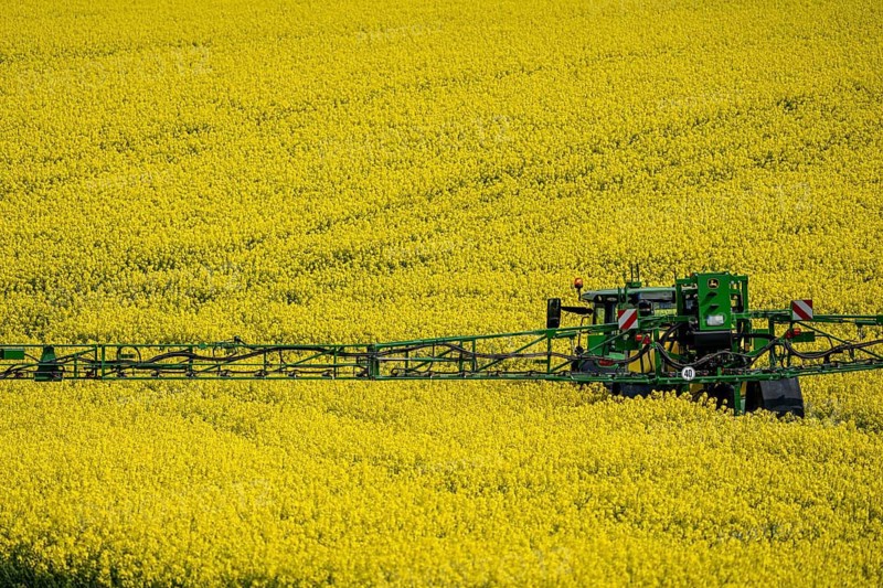 Agriculture, rapeseed field in full bloom, farmer sprays the field with a John Deere M952 trailer sprayer, plant protection products are sprayed against pests during rape bloom, rapeseed is particularly susceptible to pests during flowering, or is sprayed against fungal diseases, fungicides, all products must be compatible with bees, North Rhine-Westphalia, Germany