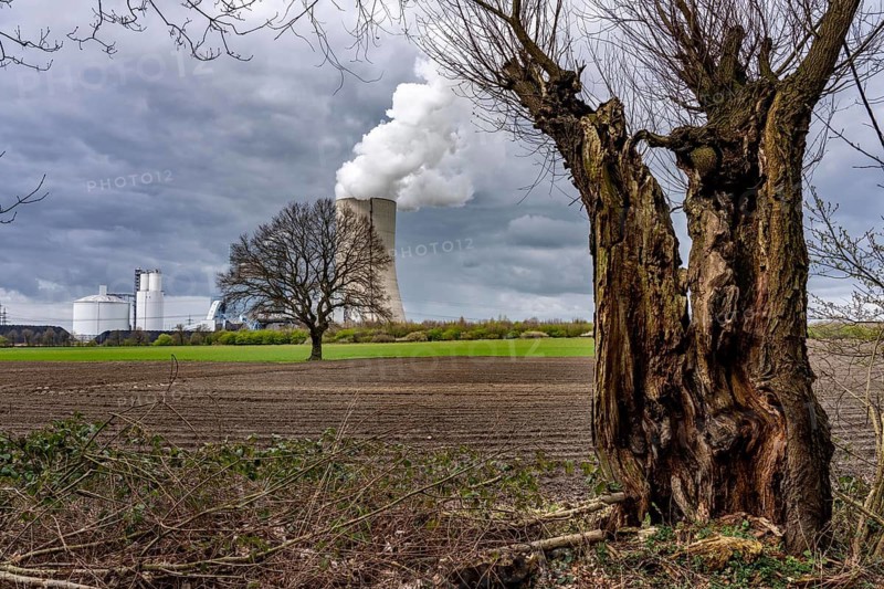 The UNIPER Datteln 4 coal-fired power plant, power plant block and cooling tower, fields, old trees, Datteln, North Rhine-Westphalia, Germany