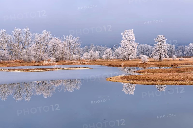 Frozen pond and trees in hoarfrost, nature reserve, Schoren, Mühlau, Freiamt, Aargau Canton, Switzerland