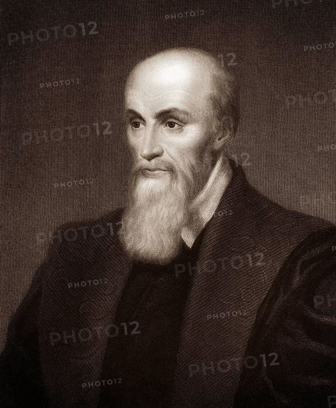 Michel de l'Hôpital or l'Hospital, 1507-1573, a French statesman
