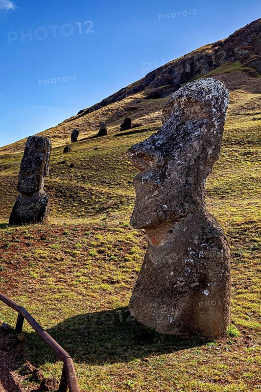 Moai sculptures on a grassy hill in natural surroundings under clear skies, The Moai statues on Easter Island in the Pacific Ocean
