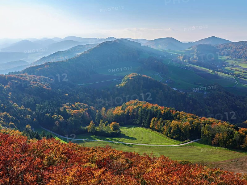 View of an autumnal forest from the Gisliflue, behind the Jurassic foothills with the Wasserfluh, Talheim, Canton, Aargau, Switzerland