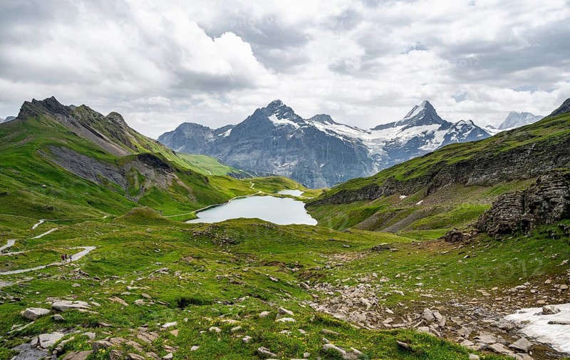 Mountain landscape with Bachalpsee mountain lake, Mittelhorn peaks and Schreckhorn with upper Grindelwald glacier, Bernese Alps, Bernese Oberland, Switzerland