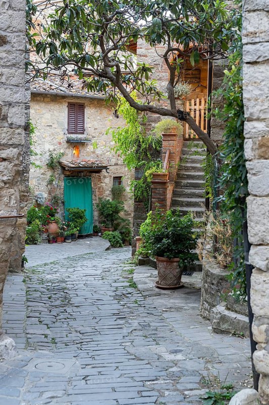 View of a little Street in the little wine town of Montefioralle, Chianti, Florence, Firenze, Tuscany, Italy