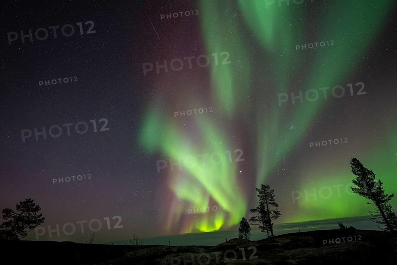 Northern Lights (Aurora borealis), Norrbotten, Lapland, Sweden, September 2024