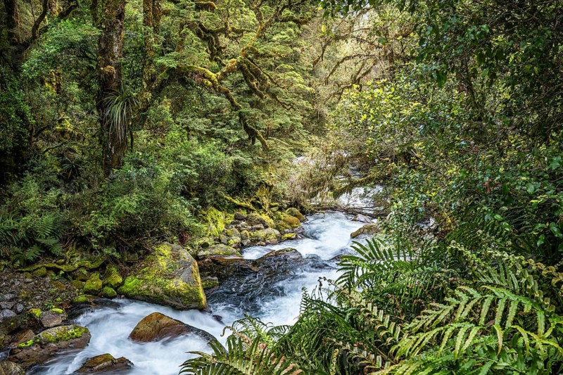 Landscape in New Zealand with river and forest. Waterfalls Marian Falls, Fiordland National Park, Southland Region, South Island, New Zealand