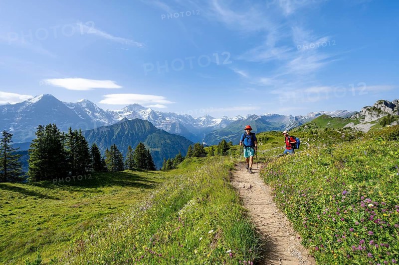 Hikers on a hiking trail on the Schynige Platte, picturesque mountain landscape, mountain panorama with peaks Eiger, Mönch and Jungfrau, Bernese Alps, Bernese Oberland, Switzerland