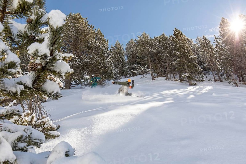 Two snowboarders enjoy a thrilling freeride through fresh powder in a backcountry setting. The bright sun and snow-covered trees highlight the exhilaration of winter sports