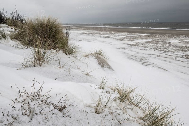 Snow-covered dunes on the North Sea, Langeoog, Lower Saxony, Germany