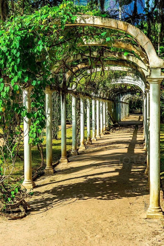 Arbor in the garden partially covered by plants on a sunny afternoon, Brazil