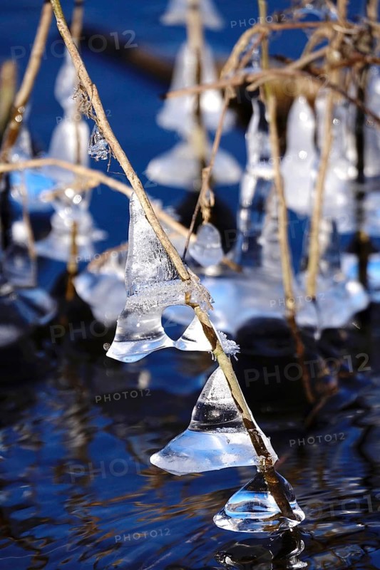 Ice on the banks of the Elbe, Winter, Dresden, Saxony, Germany