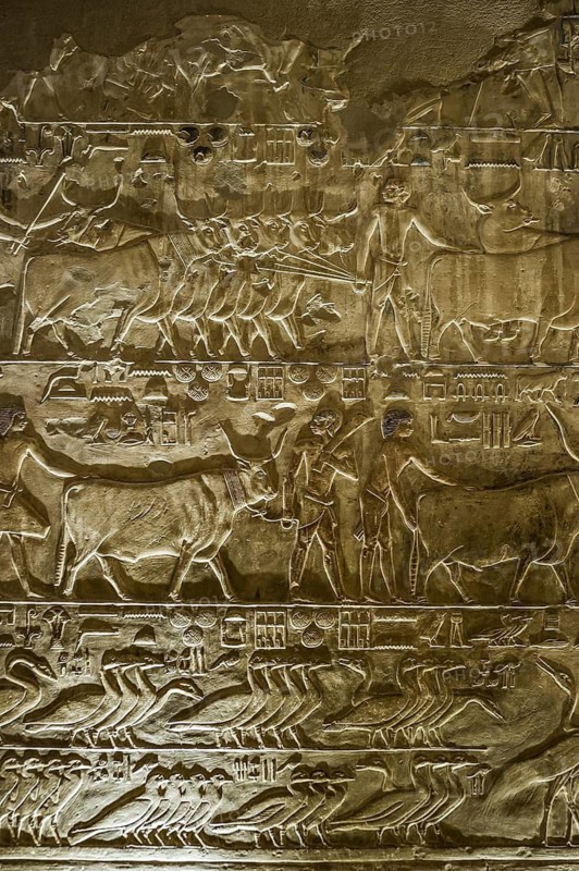 Tomb of Ptahhotep, Sakkara, Saqqara, UNESCO World Heritage Site, Memphis, Cairo, Egypt