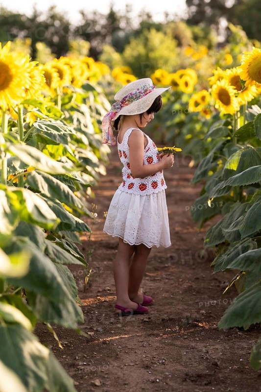 A young girl in a summer dress and sun hat stands in a vibrant sunflower field, holding a sunflower. The warm sunlight enhances the scene of innocence and nature