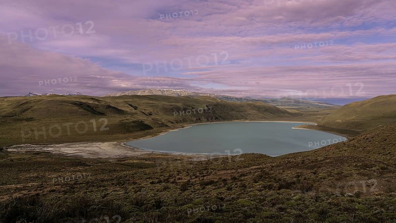 Turquoise lagoon in hilly steppe landscape at dusk, snow-capped Andes on the horizon under purple cloudy sky, Torres del Paine National Park, Magallanes Region, Chile