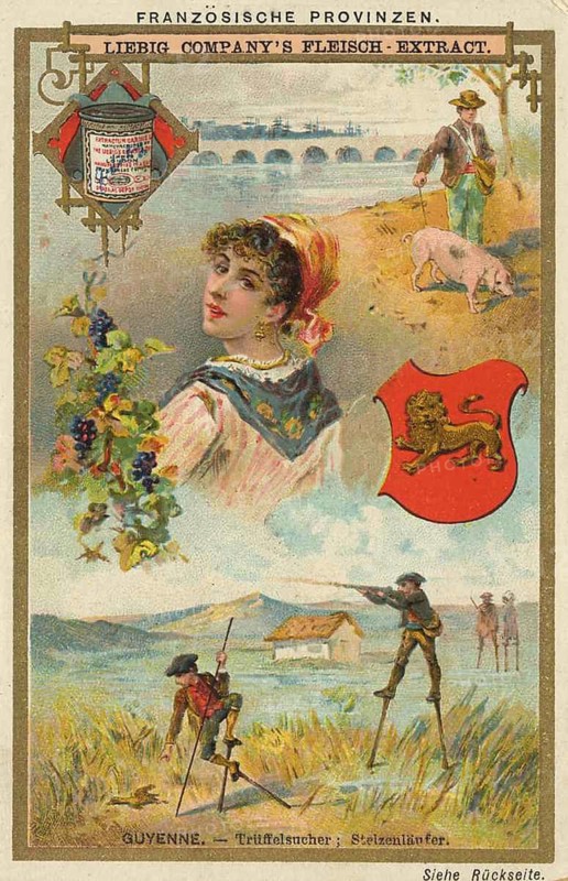 Picture series French provinces, France, Guyenne, truffle hunter and Black-winged Stilt walker, Liebig picture, digitally restored reproduction of a collector's picture from ca 1900, public domain, exact date unknown, woman in traditional traditional costume with grapes, panorama of a landscape with a swineherd and a wolfhound