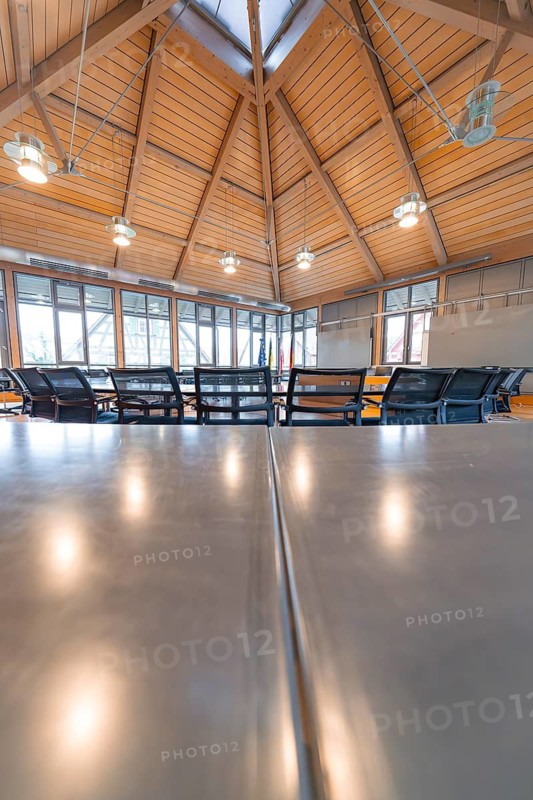 Modern conference room with wooden interior and hanging lights, plenty of daylight, Nagold Town Hall, Black Forest, Germany