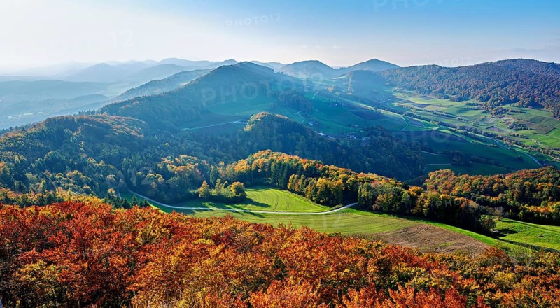 View of an autumnal forest from the Gisliflue, behind the Jura foothills with Wasserfluh and Strihen, Talheim, Canton, Aargau, Switzerland