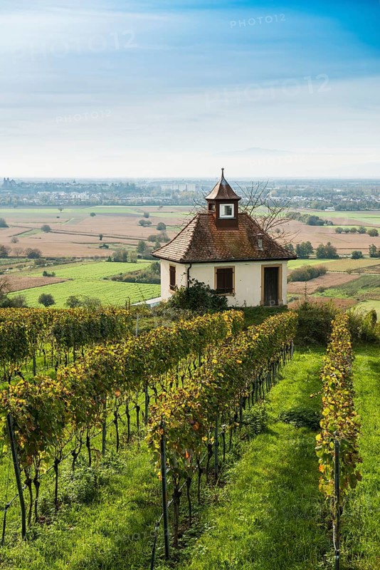 Chapel in the vineyards, Blankenhornsberg, near Ihringen, Kaiserstuhl, Baden-Württemberg, Germany